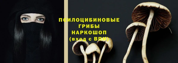 марки lsd Каменка