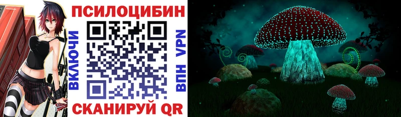 Купить  Донской  Галлюциногенные грибы MAGIC MUSHROOMS 